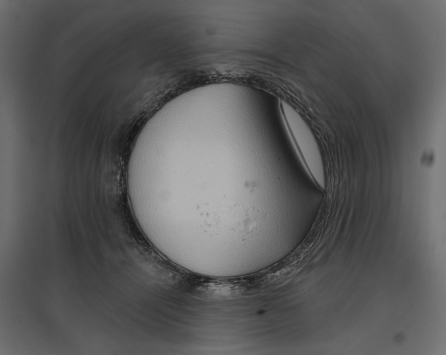 X0000096970464200803071010