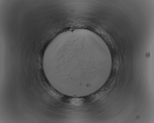 X0000096970465200803071010