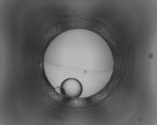 X0000096970466200803071010