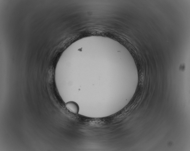 X0000096970468200803071010