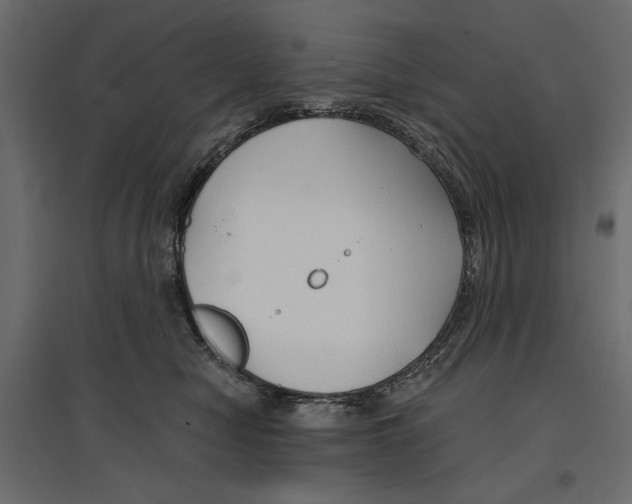 X0000096970470200803071010