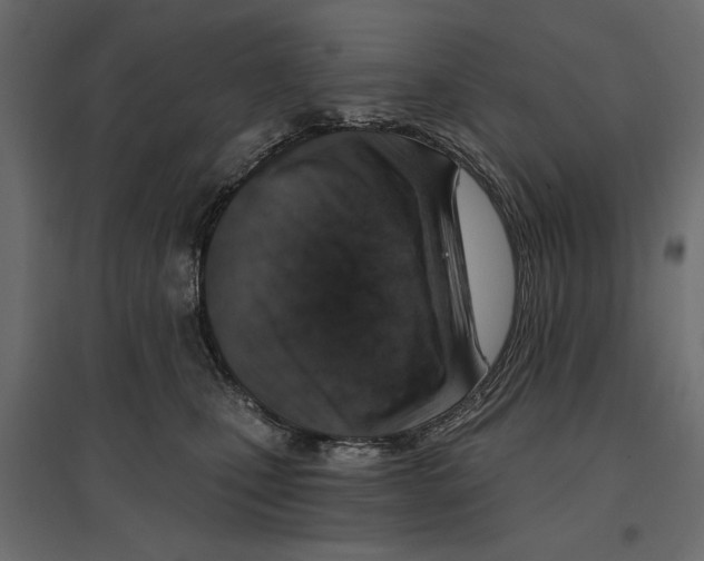 X0000096970471200803071010