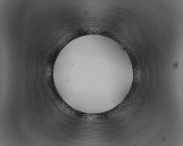 X0000096970472200803071010