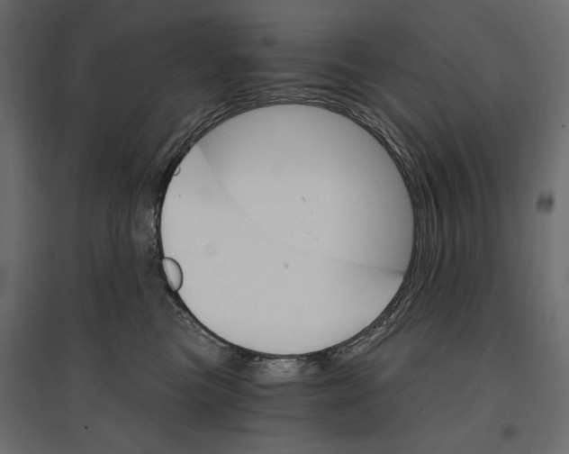 X0000096970473200803071010