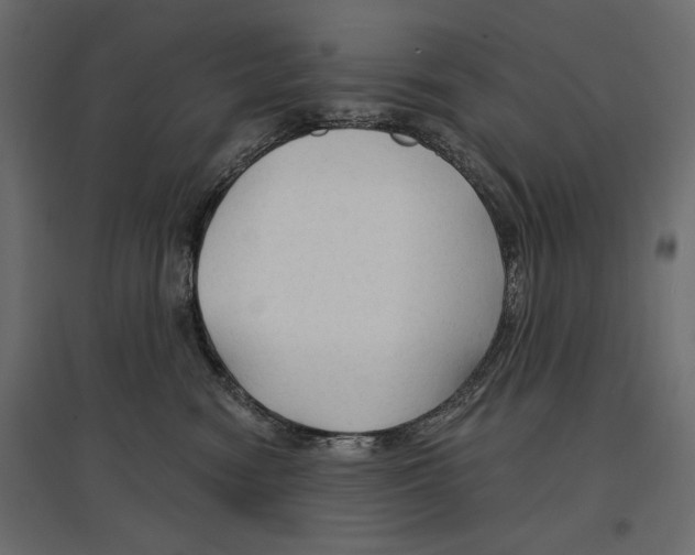 X0000096970474200803071010