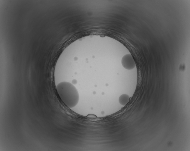 X0000096970475200803071010