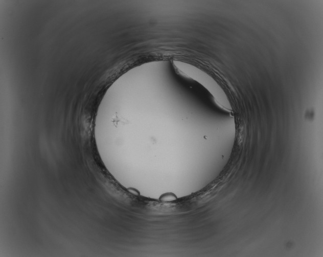 X0000096970476200803071010