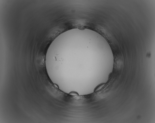 X0000096970477200803071010
