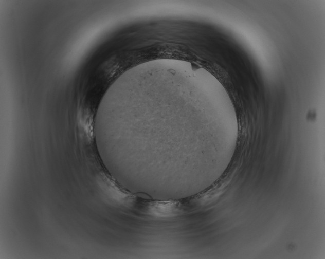 X0000096970479200803071010