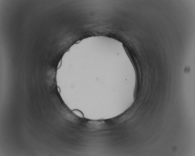 X0000096970480200803071010