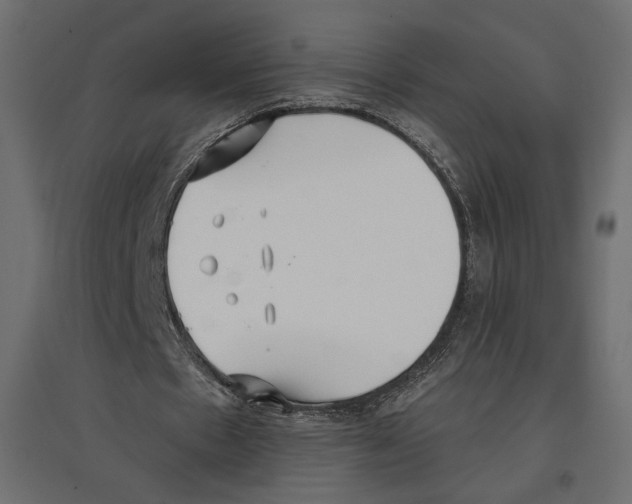 X0000096970481200803071010