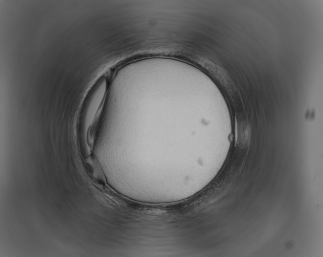 X0000096970483200803071010