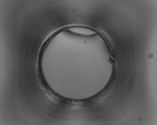 X0000096970484200803071010
