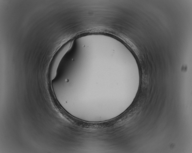 X0000096970485200803071010