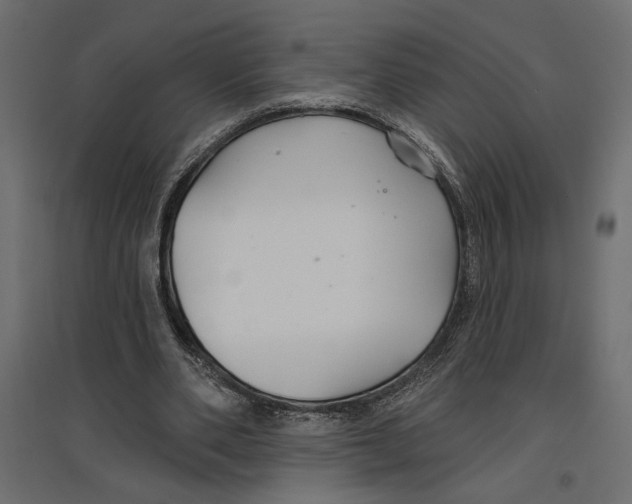 X0000096970486200803071010
