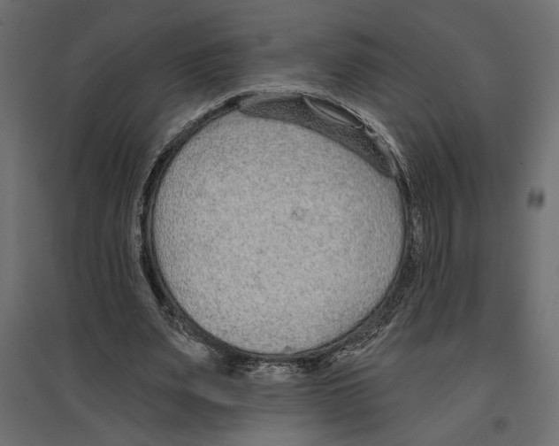 X0000096970487200803071010