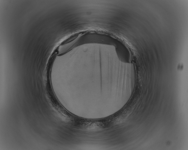 X0000096970488200803071010