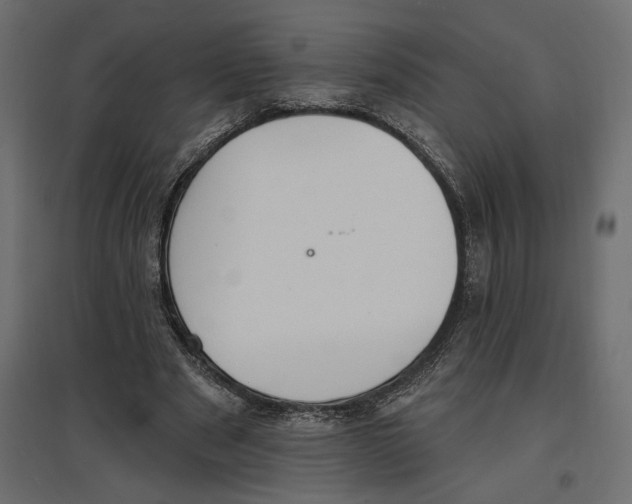 X0000096970489200803071010