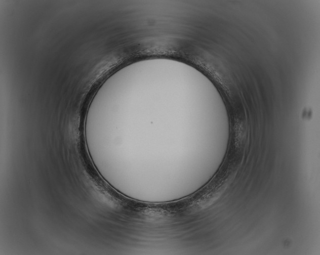 X0000096970490200803071010