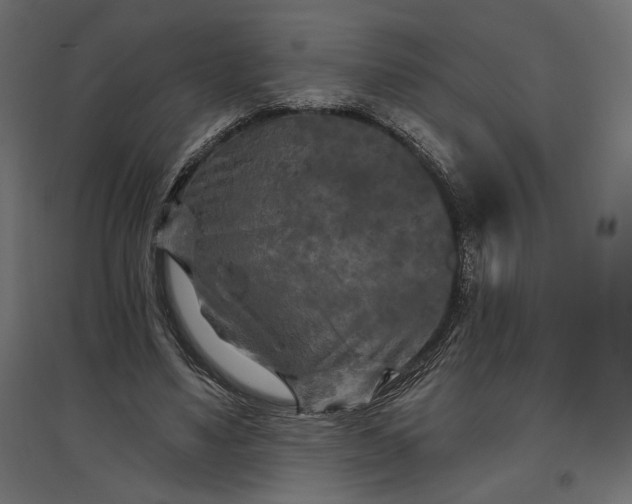 X0000096970491200803071010