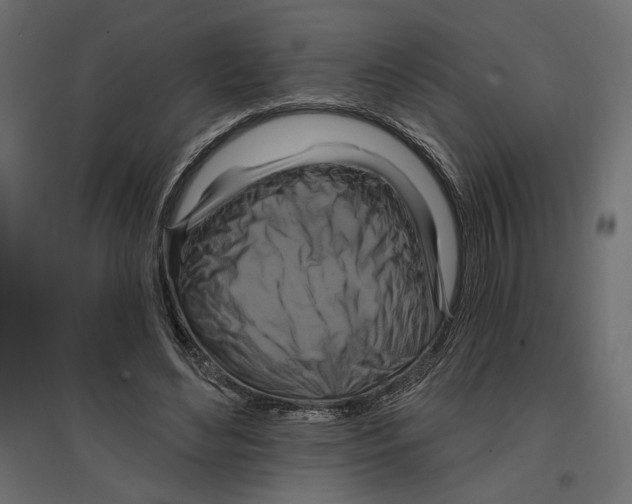 X0000096970492200803071010