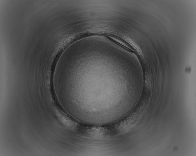 X0000096970493200803071010