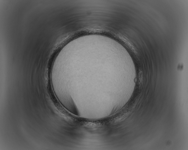 X0000096970494200803071010