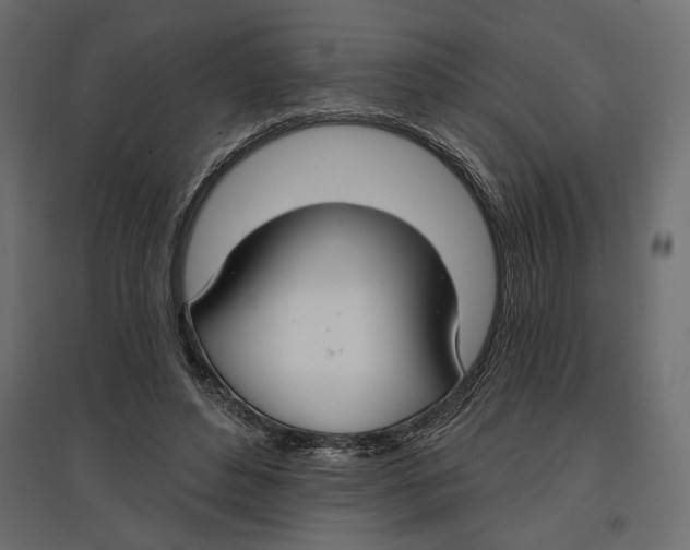 X0000096970496200803071009
