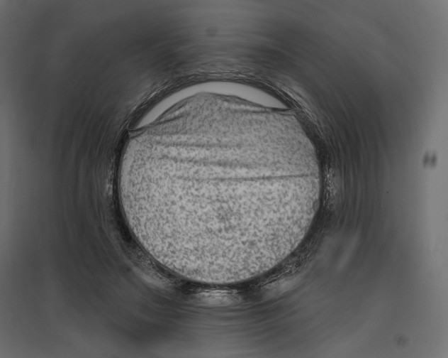 X0000096970499200803071009