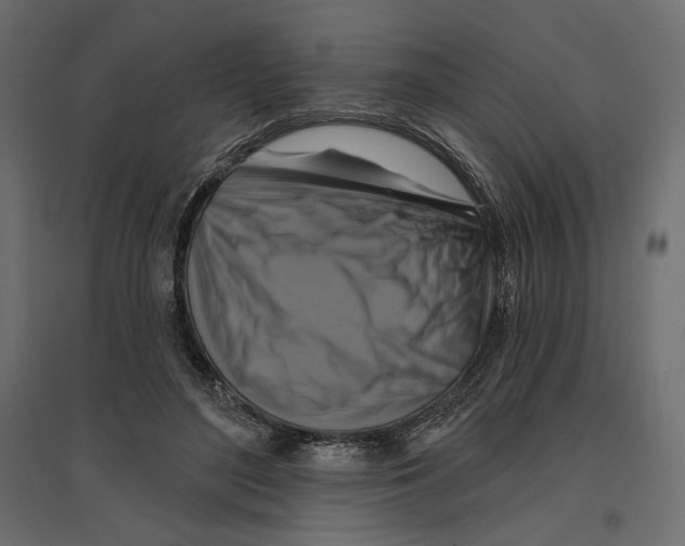 X0000096970500200803071009