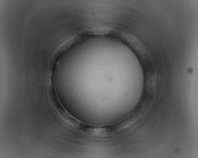 X0000096970501200803071009