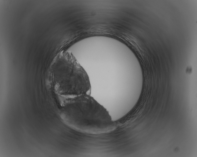 X0000096970503200803071009