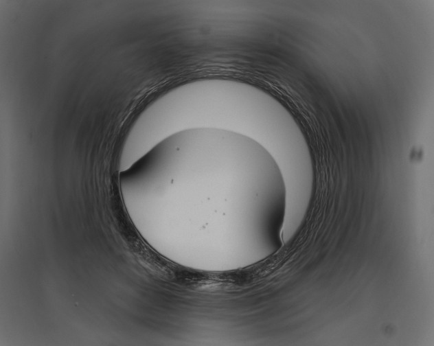 X0000096970504200803071009