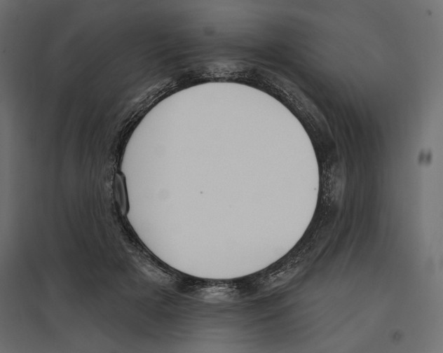 X0000096970505200803071009