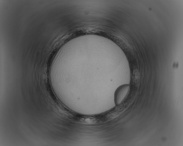 X0000096970506200803071009