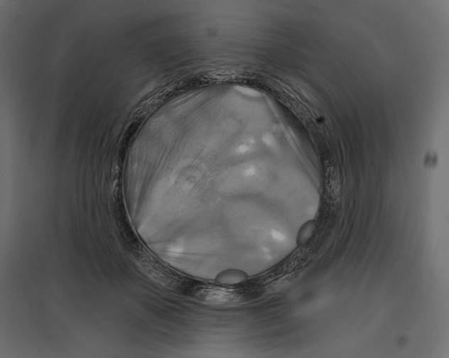X0000096970507200803071009