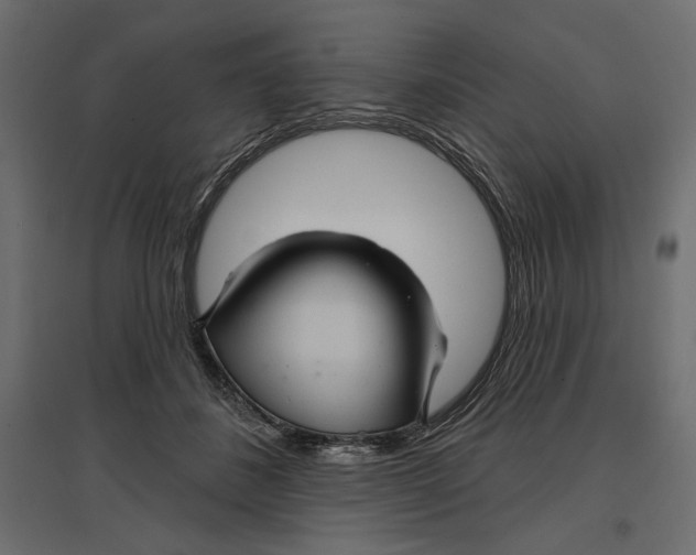 X0000096970508200803071009