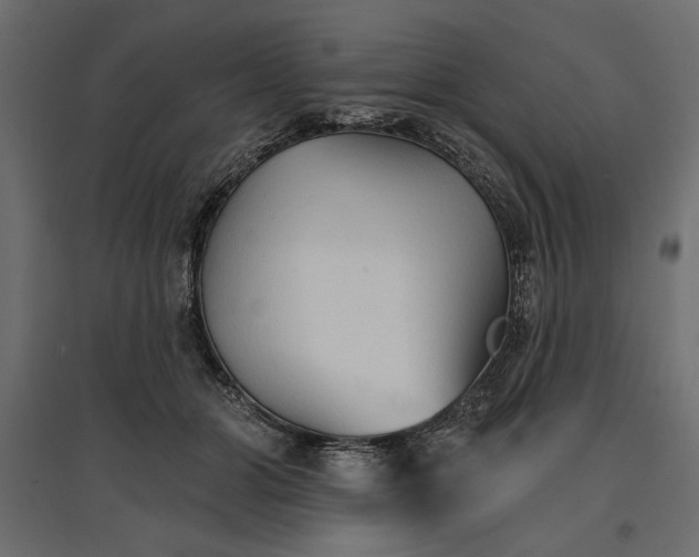 X0000096970510200803071009