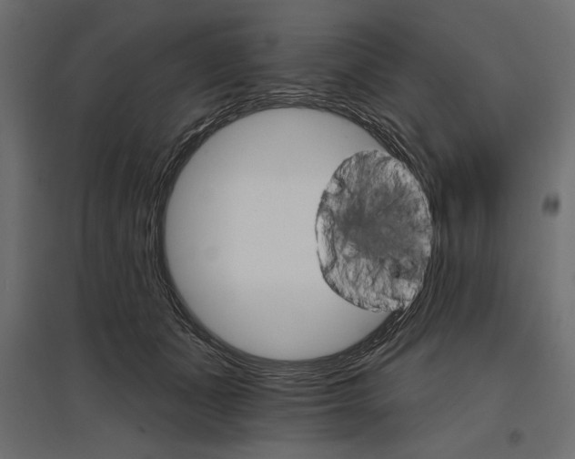 X0000096970511200803071009