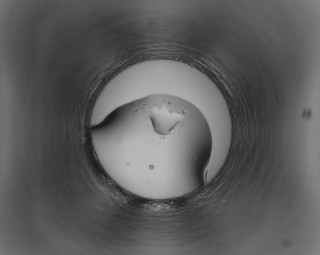 X0000096970512200803071009