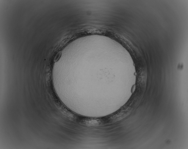 X0000096970513200803071009