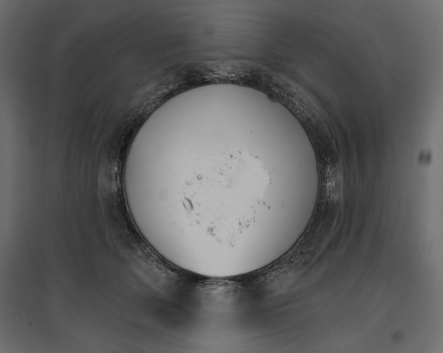 X0000096970514200803071009