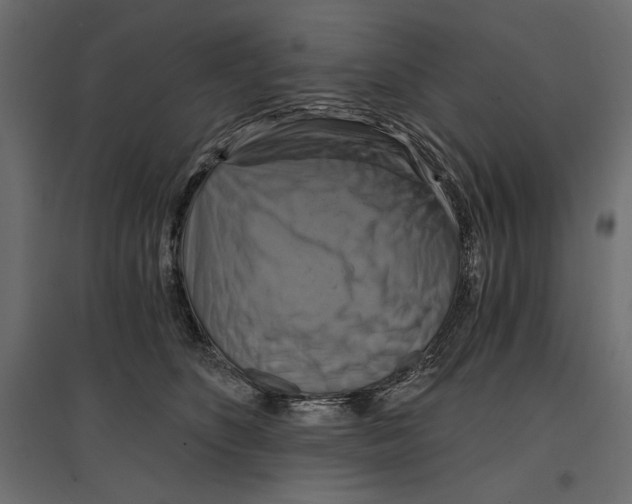 X0000096970516200803071009