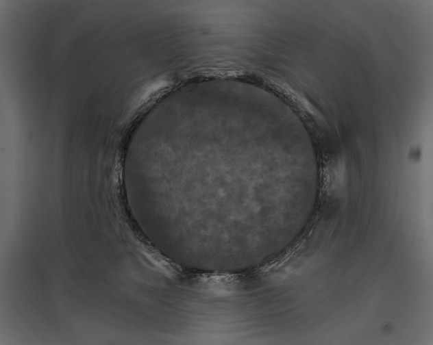 X0000096970517200803071009