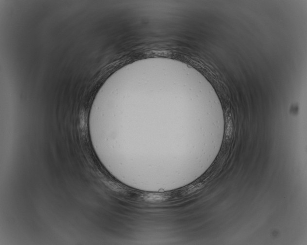 X0000096970518200803071009