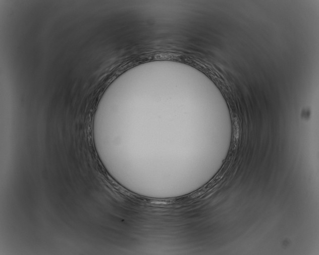 X0000096970519200803071009