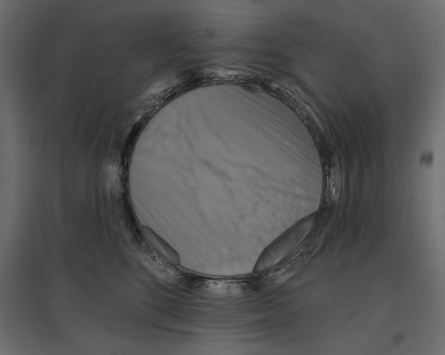 X0000096970520200803071009