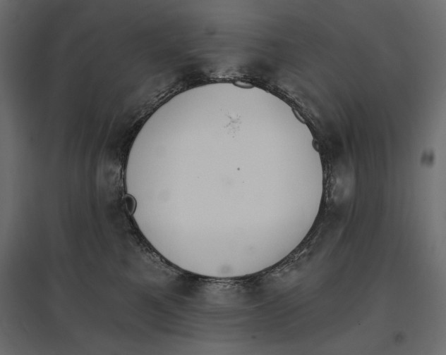 X0000096970521200803071009
