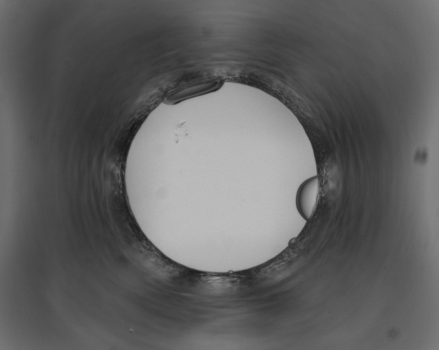 X0000096970522200803071009