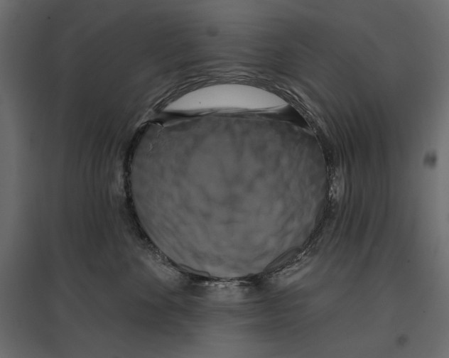 X0000096970524200803071009